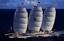 Maltese Falcon video Maltese Falcon video