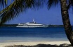 Islander Islander