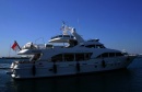 Libra Star