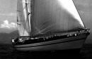 Lady Sail