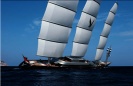Maltese Falcon