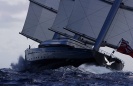 Maltese Falcon