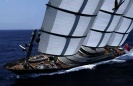 Maltese Falcon